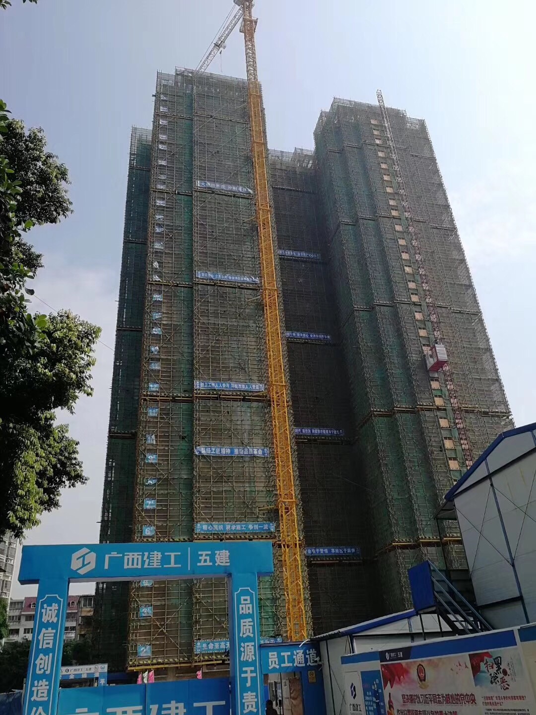 IMG_7016.JPG IMG_7016.JPG