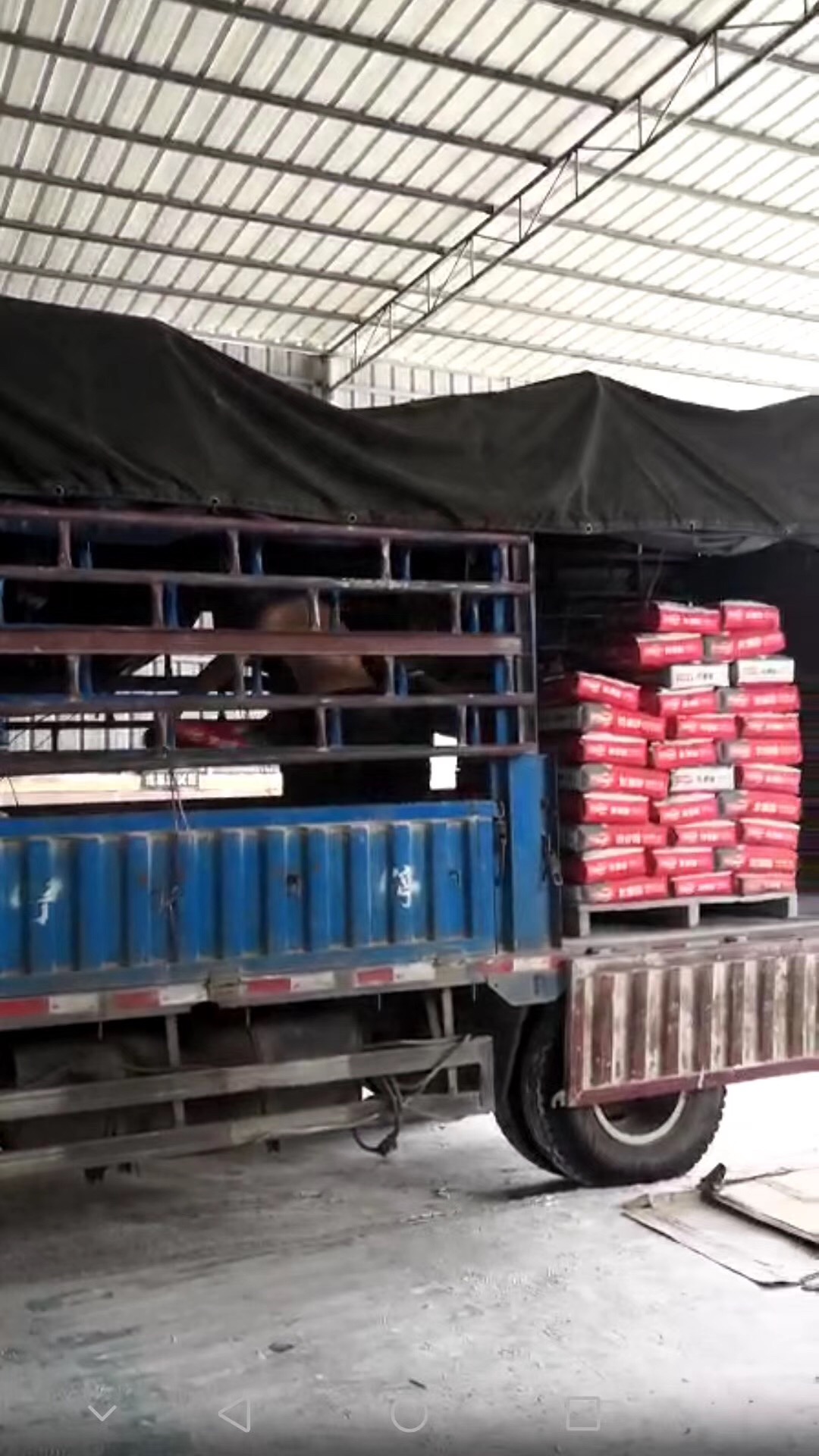 IMG_7649.JPG IMG_7649.JPG